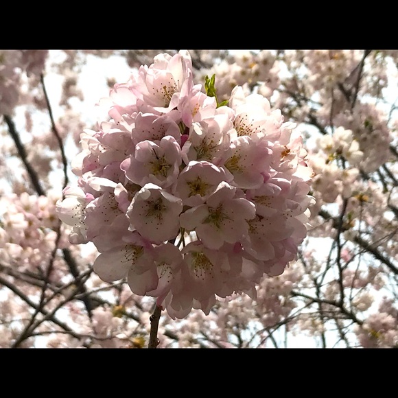 Welcome from CBren! - Picture 1 of 1